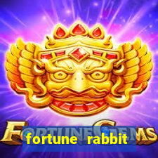 fortune rabbit horario pagante Commercial